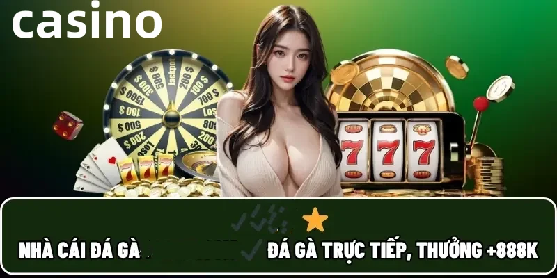 dk8