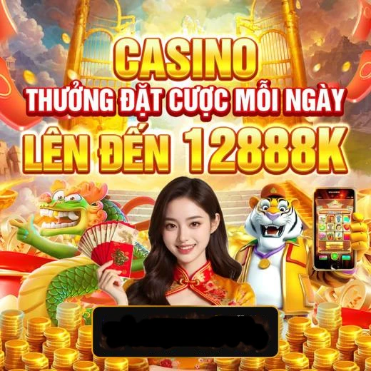 dk8