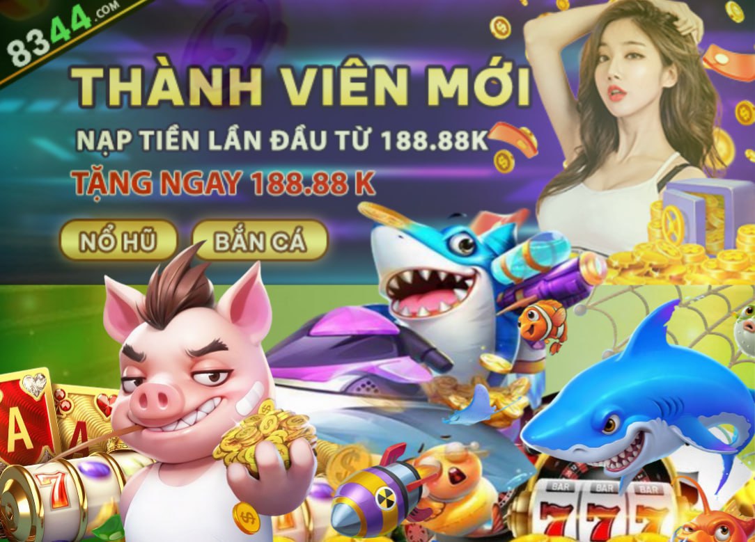 dk8