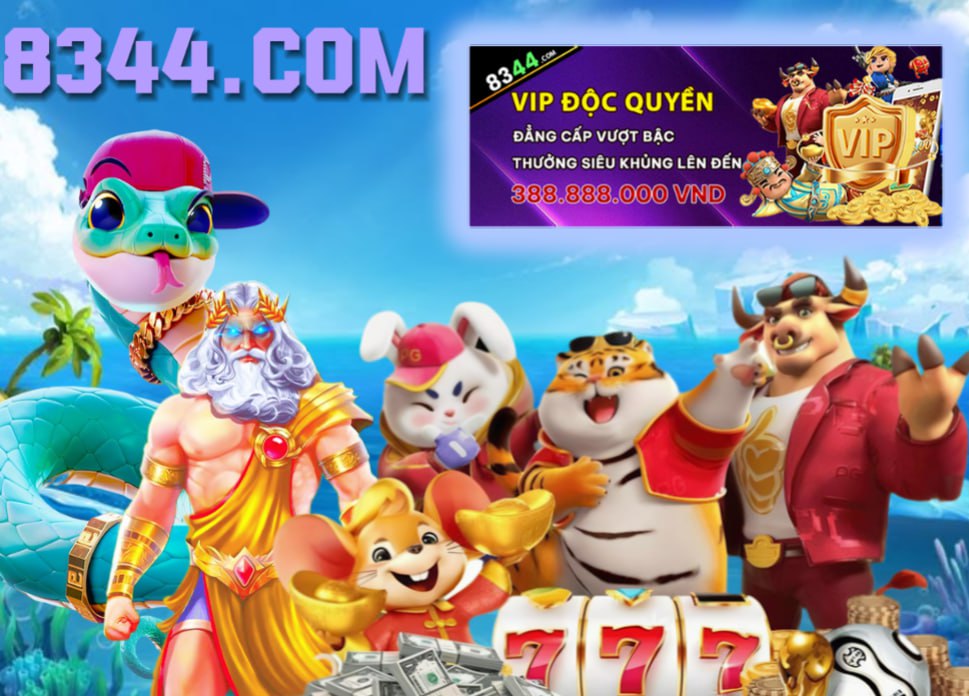 dk8