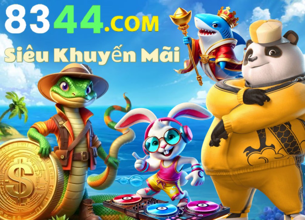 dk8