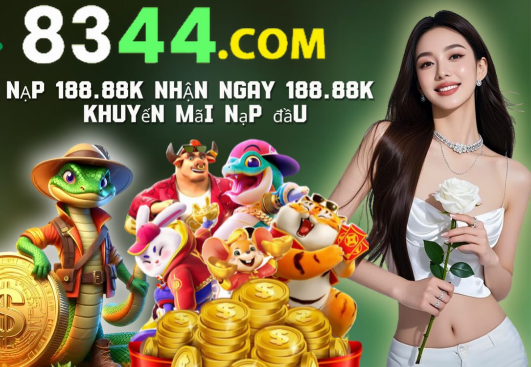 dk8