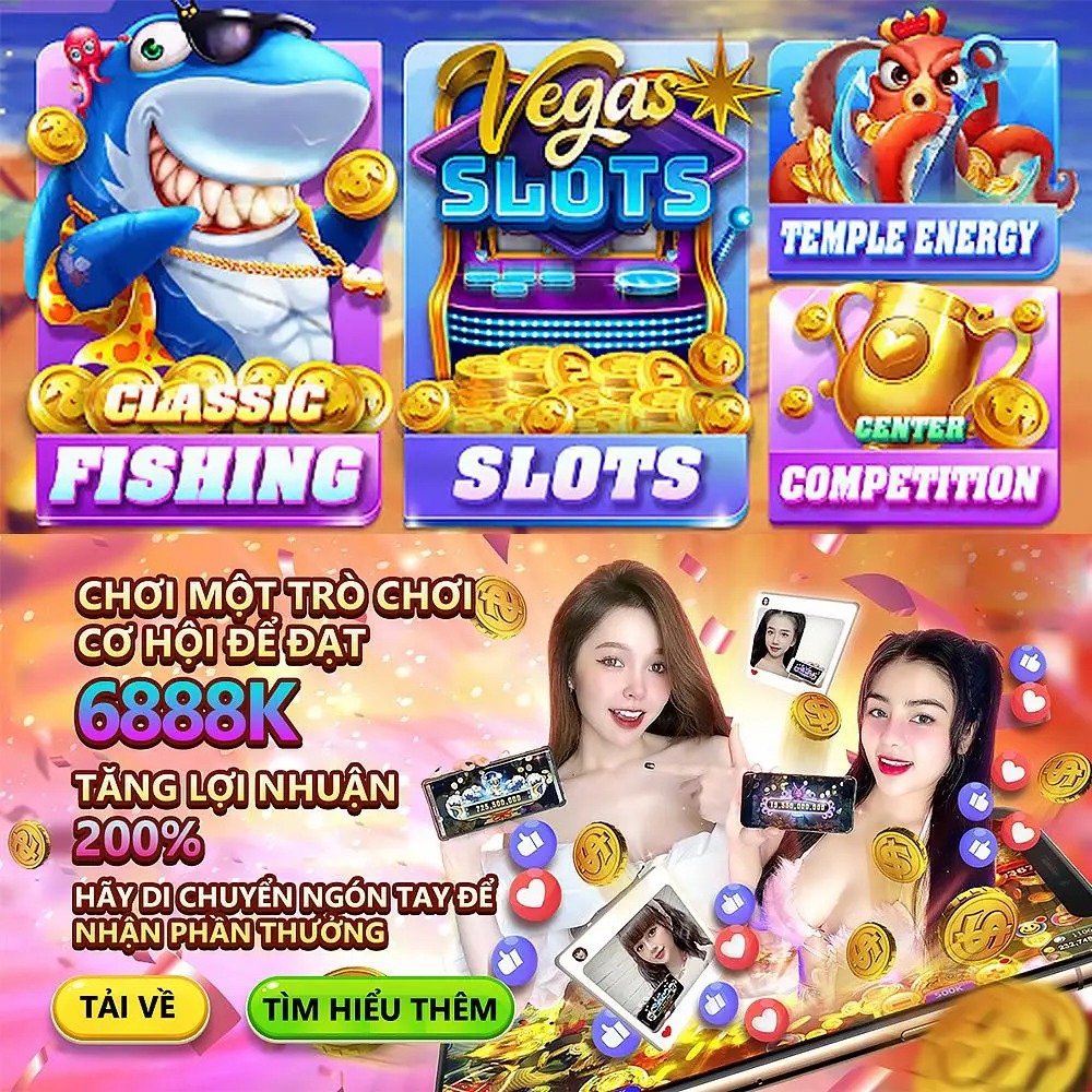 dk8