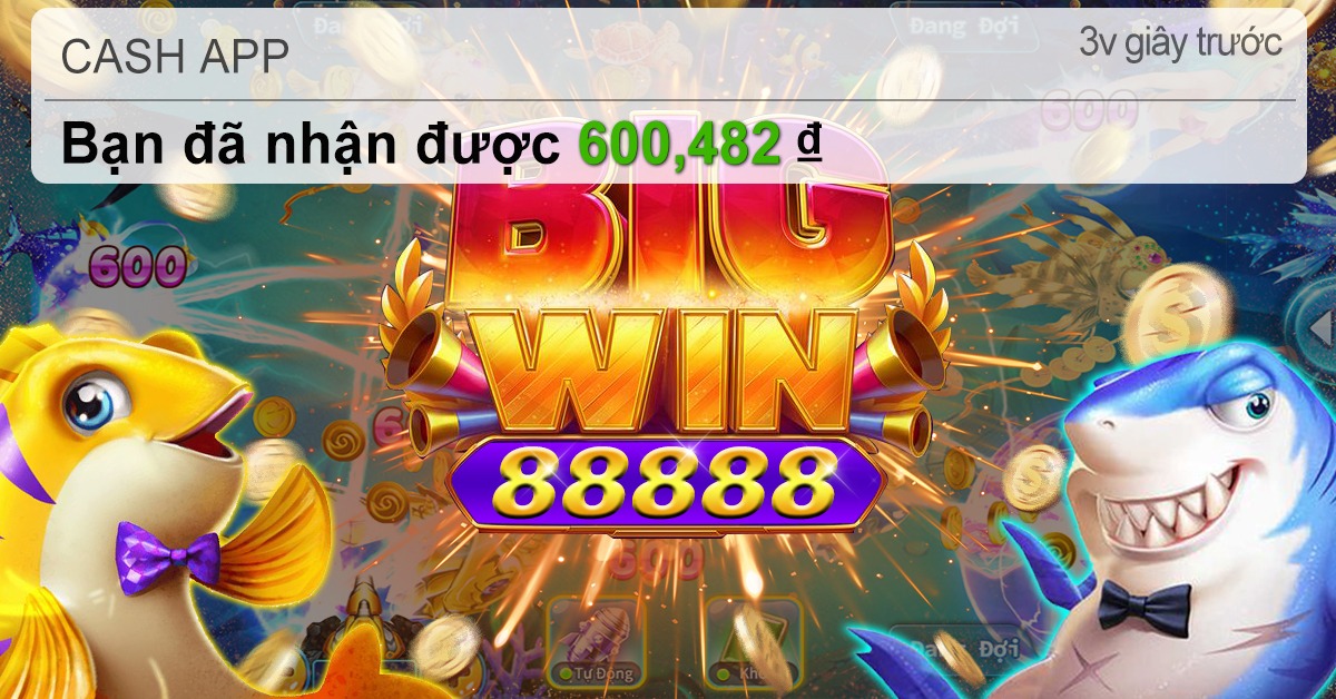 dk8