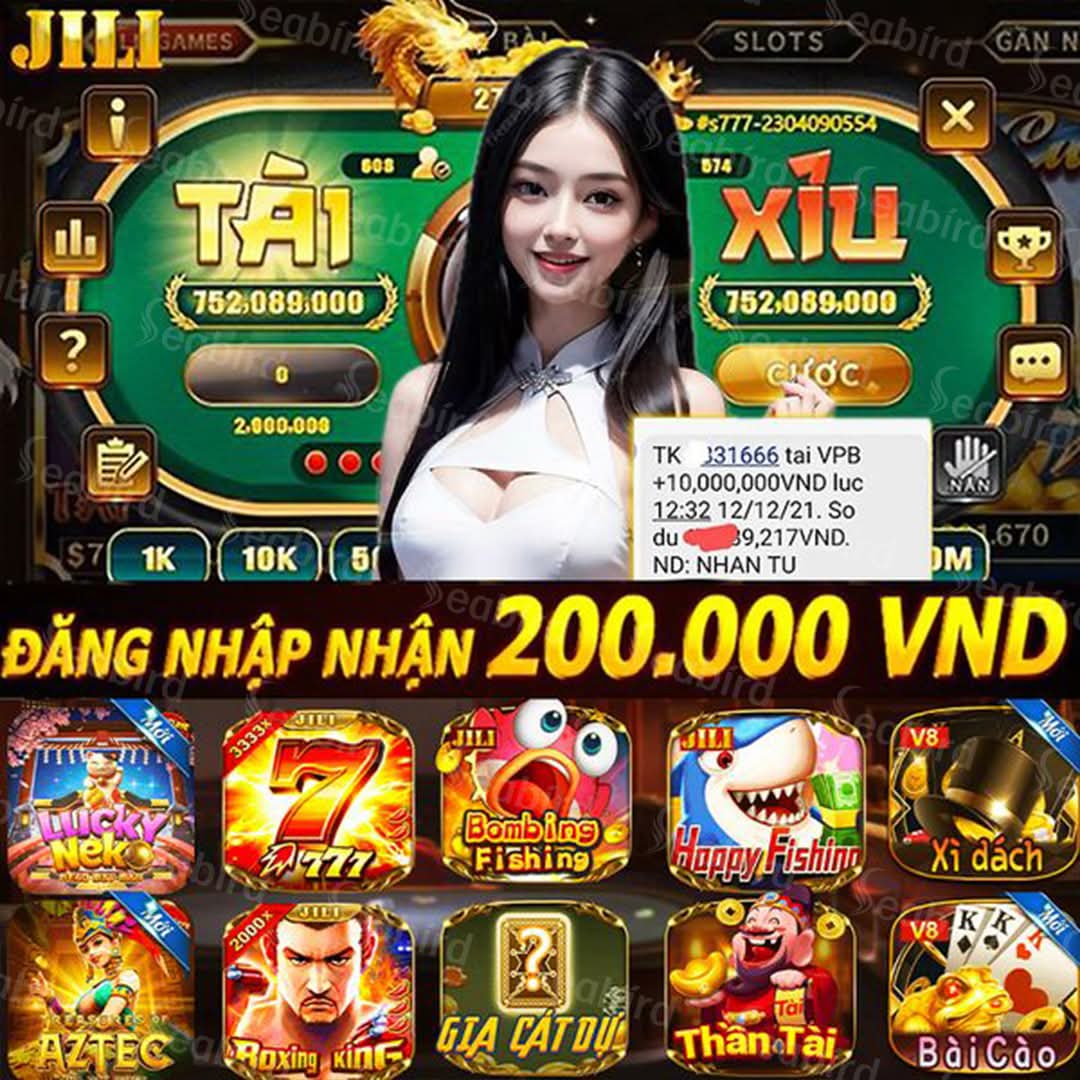 dk8